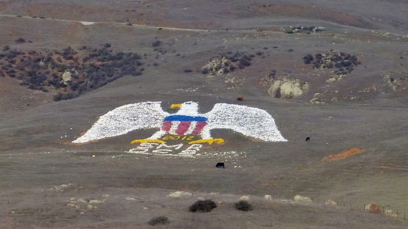 Illustration for article titled The Coolest and Weirdest Artworks That Are Visible from Space